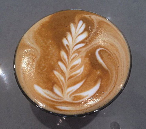 Daily Bean Cafe - Tourism Gold Coast 21