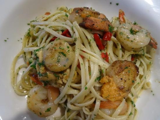 Stieglitz TAS Tourism Gold Coast