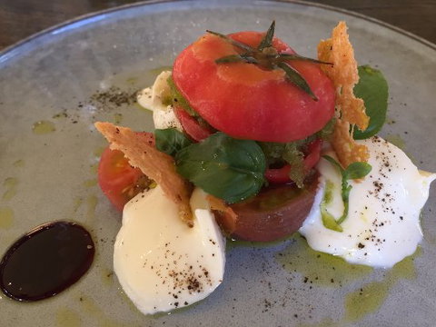 Foglia Di Fico - Tourism Gold Coast 0