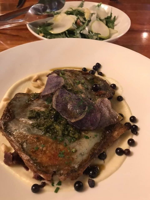 Foglia Di Fico - Tourism Gold Coast 2