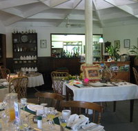 Daintree Tea House Restaurant - Tourism Gold Coast
