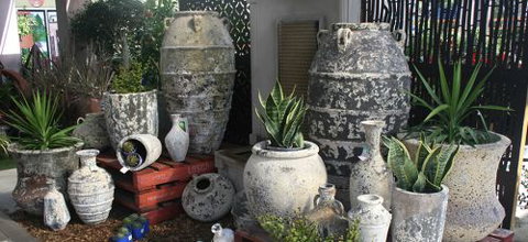 Poppy’s Home & Garden Centre - Tourism Gold Coast 1