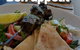 Green Zebra Restaurant - thumb 6