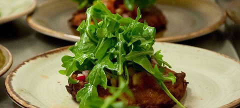 Mr Hobson - Tourism Gold Coast 0