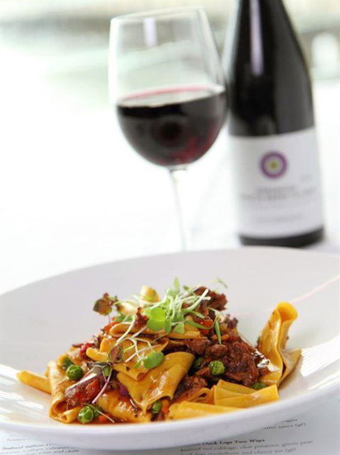 Mr Hobson - Tourism Gold Coast 16