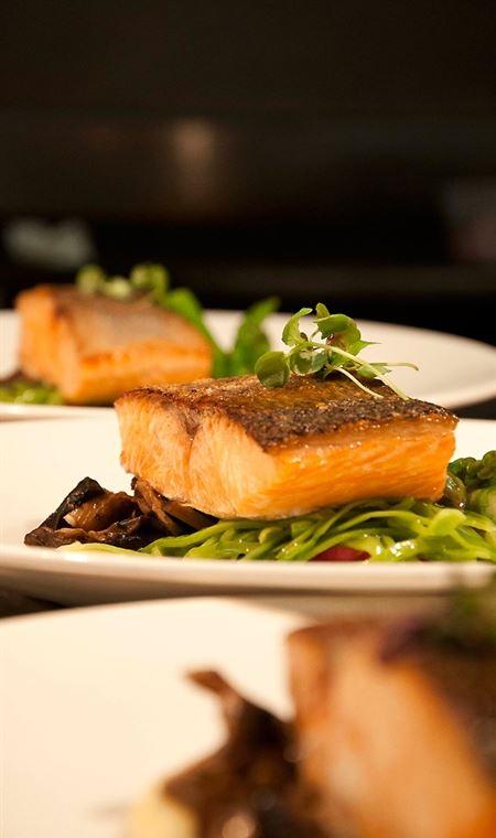 Mr Hobson - Tourism Gold Coast 4