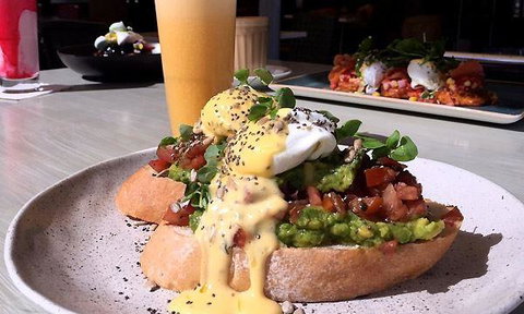 Mr Hobson - Tourism Gold Coast 5