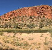 Swiss Chalet - Tourism Gold Coast