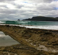 Bruny Island Berry Farm - Tourism Gold Coast