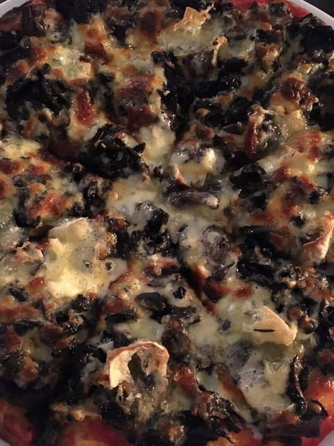 Fat Quoll Woodfire - Tourism Gold Coast 16