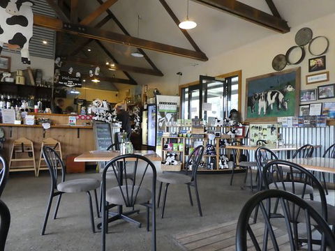 Holy Cow Cafe - Tourism Gold Coast 0