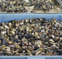 Lease 65 - Tourism Gold Coast