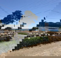 Penguin  Pardalote Coffee House - Tourism Gold Coast