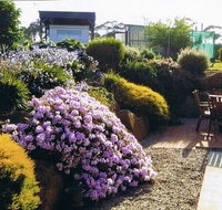 Pipers River Tea House and Crafts - Tourism Gold Coast