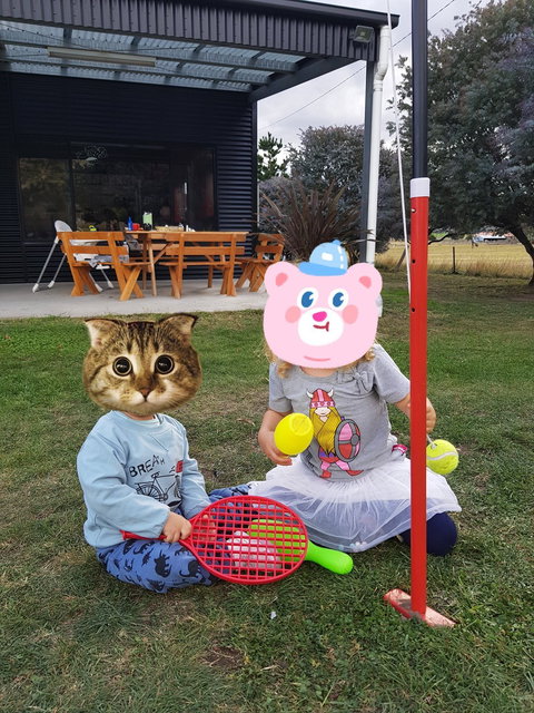 Wicked Cheese Factory - Tourism Gold Coast 1