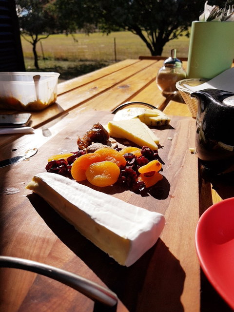 Wicked Cheese Factory - Tourism Gold Coast 2