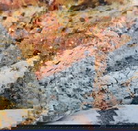 Lawley's Bakery Cafe - Tourism Gold Coast