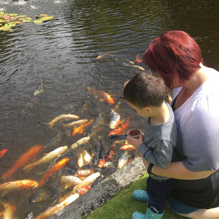 Ramon's At Willow Pond - Tourism Gold Coast 0