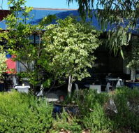 Bishop and Clove - Tourism Gold Coast