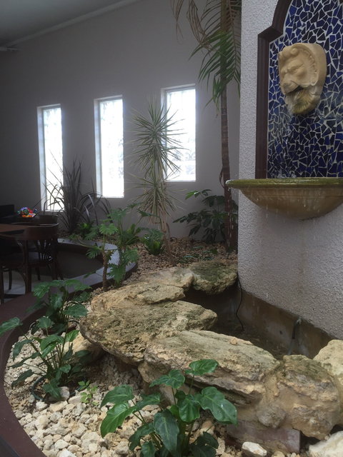 Bello Torta - Tourism Gold Coast 4