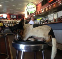 Dampier Mermaid - Tourism Gold Coast