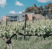 Green Door Winery  Cafe - Tourism Gold Coast