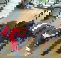 McDonalds Restaurant - Tourism Gold Coast