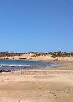 Port Walcott Yacht Club - Tourism Gold Coast 3