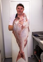 Hooked On Middleton Beach Fish & Chips - Tourism Gold Coast 1