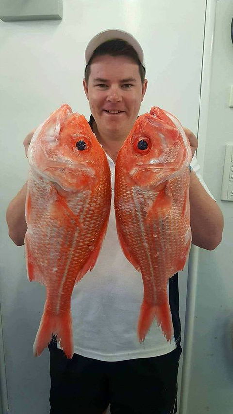 Hooked On Middleton Beach Fish & Chips - Tourism Gold Coast 5