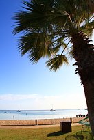 Monkey Bar - Tourism Gold Coast 2