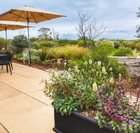 Arid Lands Botanic Garden Cafe - Tourism Gold Coast