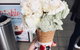 Gelatissimo - thumb 4