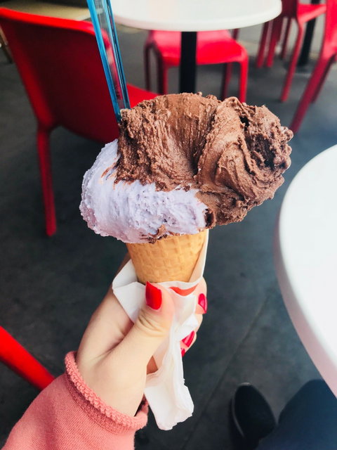 Gelatissimo - Tourism Gold Coast 7
