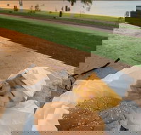 Barmera Chicken and Seafood - Tourism Gold Coast