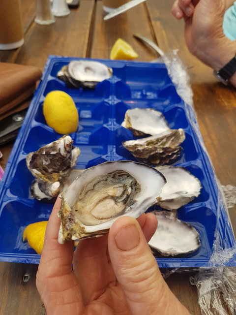 Beachcomber - Tourism Gold Coast 6