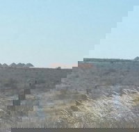 Moonlite Cafe - Tourism Gold Coast