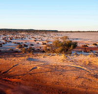 Mozie's Truckstop  Diner - Tourism Gold Coast