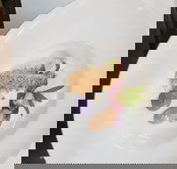 Oliver's Bar  Bistro - Tourism Gold Coast