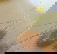 Parade Fish Shop - Tourism Gold Coast