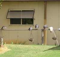 Sandy Grove - Tourism Gold Coast