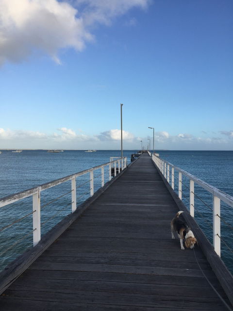 Waterfront Cafe - Tourism Gold Coast 6