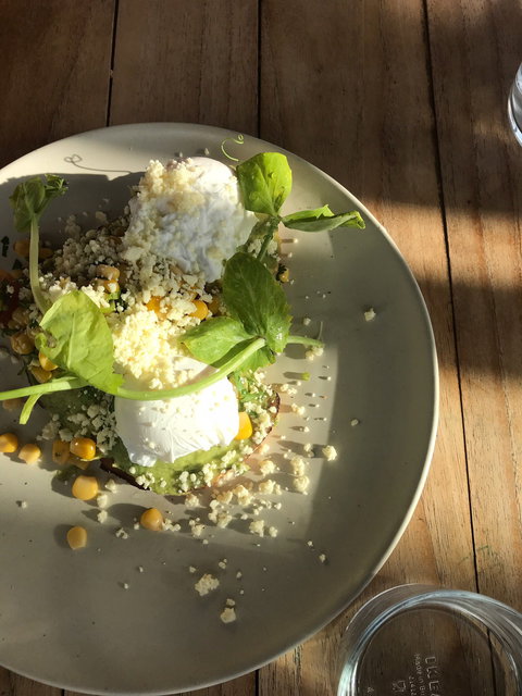 Sandbar - Tourism Gold Coast 5