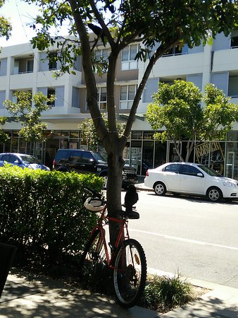 The Fish - Tourism Gold Coast 0