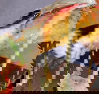 A Taste Of Africa Maleny - Tourism Gold Coast