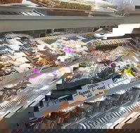 Maleny Seafoods - Tourism Gold Coast