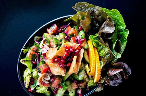 Fishy But Nice - Tourism Gold Coast 6