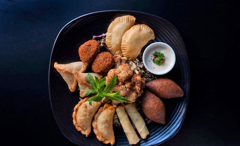 Fishy But Nice - Tourism Gold Coast 8