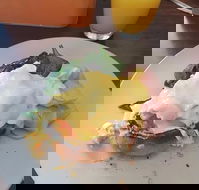 Stock Bar  Grill - Tourism Gold Coast