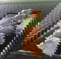 Three Black Sheep Cafe - Tourism Gold Coast